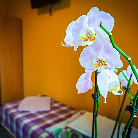 Daire U Stocha Poronin